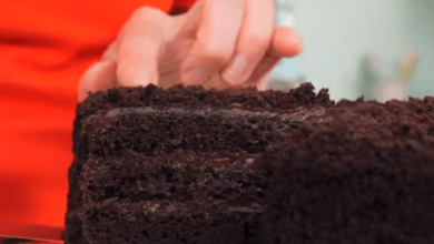 Vegan Blackout Cake