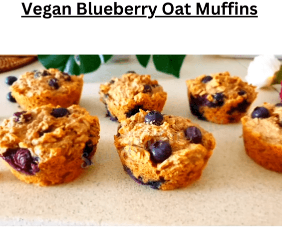 Vegan Blueberry Oat Muffins